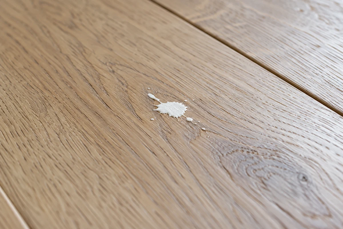 Small dried paint splash on an oak floorboard